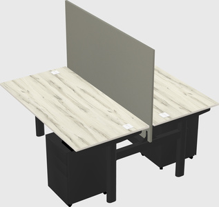 Shared electric desk
