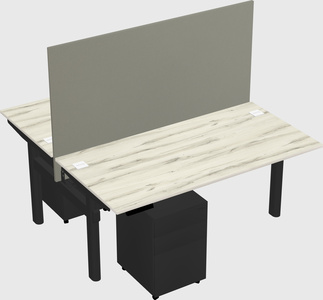 Shared electric desk