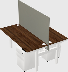Shared electric desk