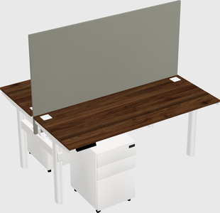 Shared electric desk