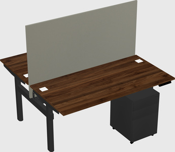Shared electric desk