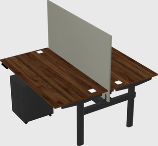 Shared electric desk