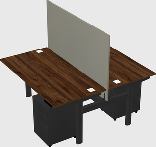 Shared electric desk