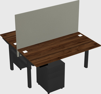 Shared electric desk