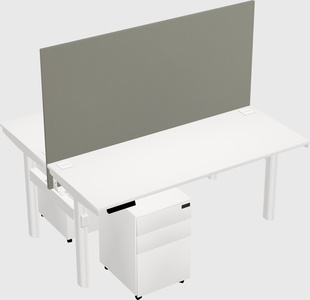 Shared electric desk
