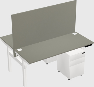 Shared electric desk