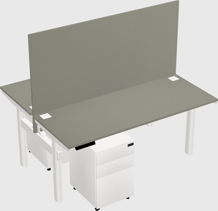 Shared electric desk
