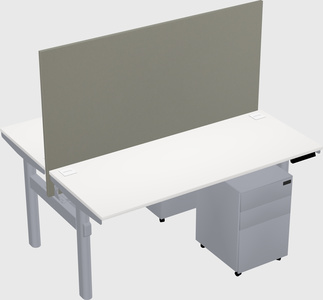 Shared electric desk