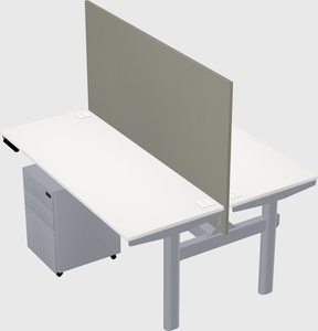 Shared electric desk