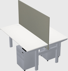 Shared electric desk