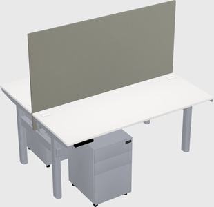 Shared electric desk