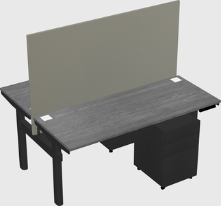 Shared electric desk
