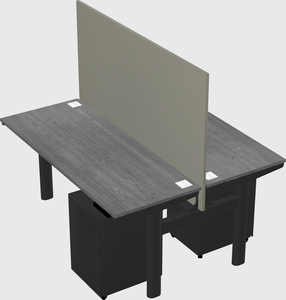 Shared electric desk
