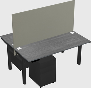 Shared electric desk