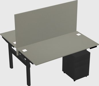 Shared electric desk
