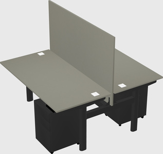 Shared electric desk