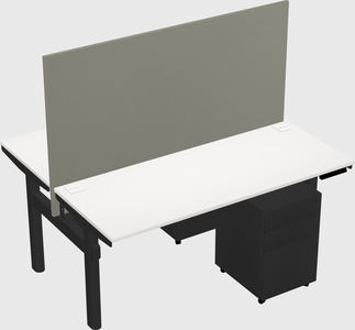 Shared electric desk