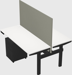 Shared electric desk