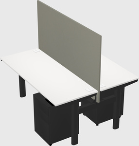 Shared electric desk