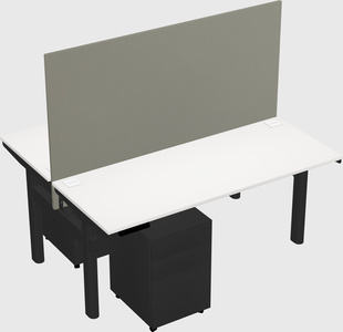 Shared electric desk