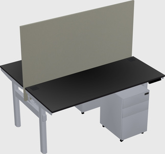 Shared electric desk