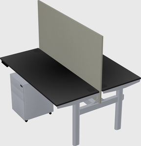Shared electric desk