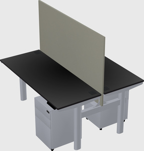 Shared electric desk