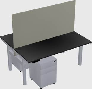 Shared electric desk