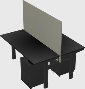 Shared electric desk