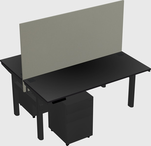 Shared electric desk