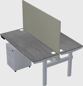Shared electric desk
