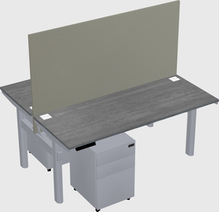 Shared electric desk