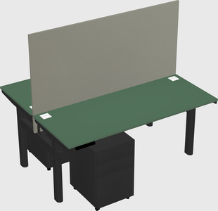 Shared electric desk