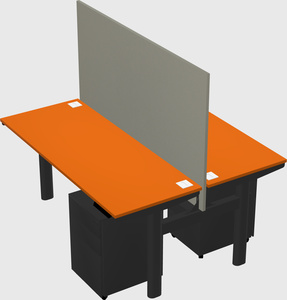 Shared electric desk