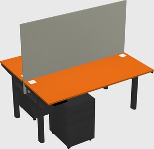 Shared electric desk