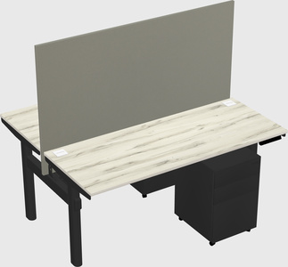 Shared electric desk