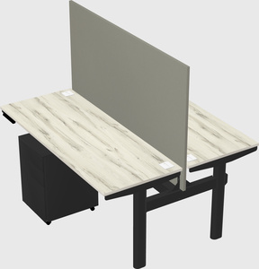 Shared electric desk