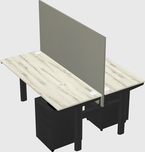 Shared electric desk