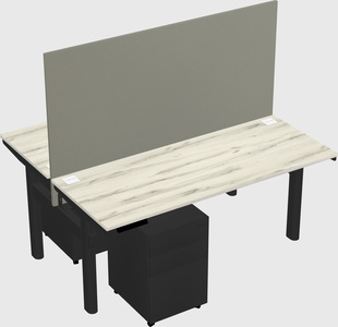 Shared electric desk
