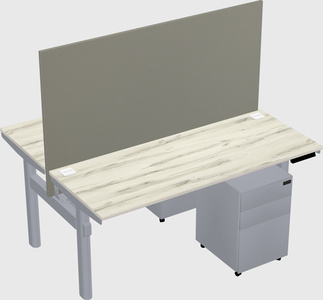 Shared electric desk