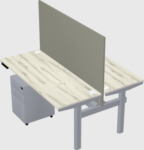 Shared electric desk