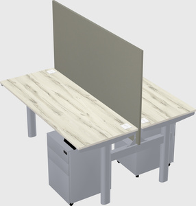 Shared electric desk
