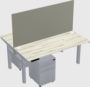 Shared electric desk
