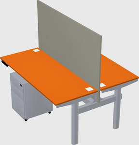 Shared electric desk