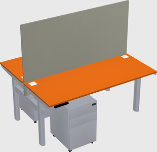 Shared electric desk