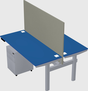 Shared electric desk