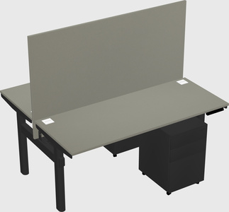 Shared electric desk
