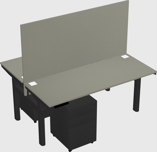 Shared electric desk