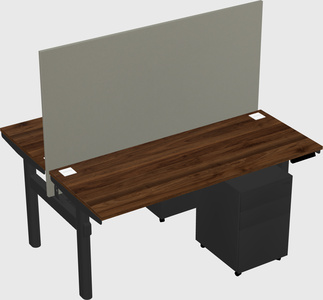 Shared electric desk