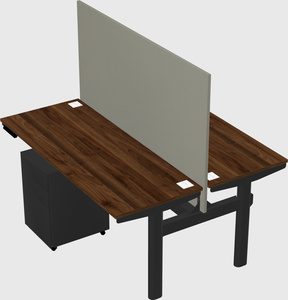 Shared electric desk